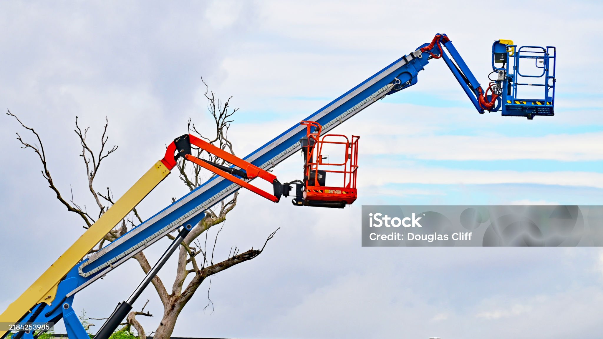 Two high lift platforms with a dead tree Formation CACES R486A pour élévation en hauteur – Phoenix Formation